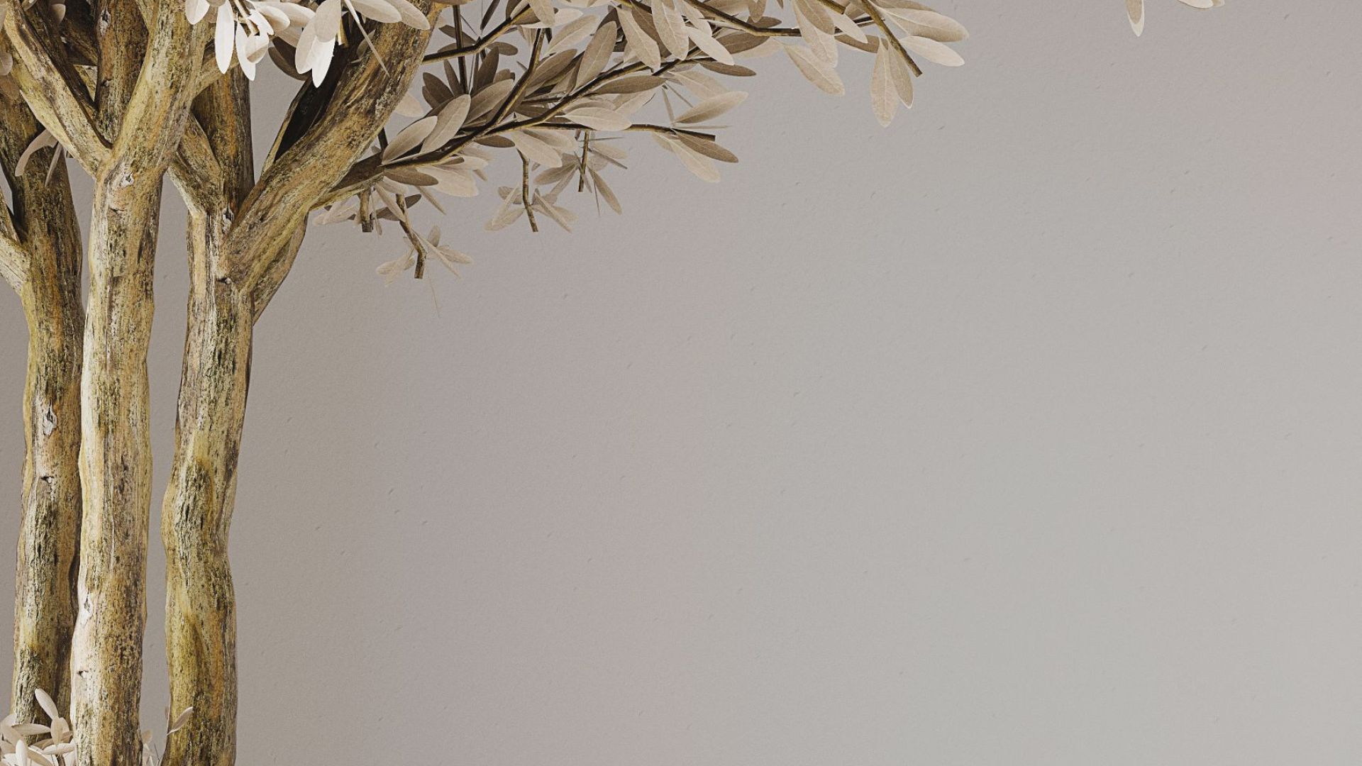 Erdvinis gartraukis Hiro White Matt - Balta matinė - Wizualizacja 4